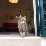 شقة Leziedipiero