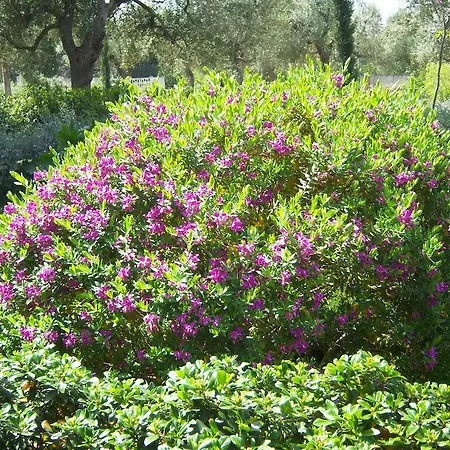 شقة Leziedipiero Nardò