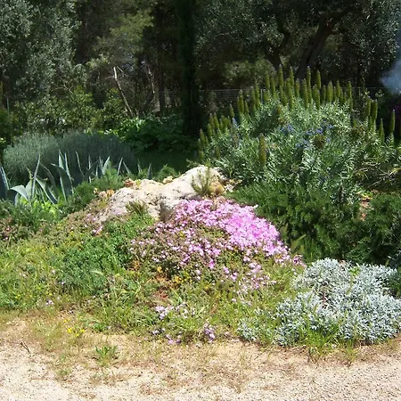 شقة Leziedipiero *