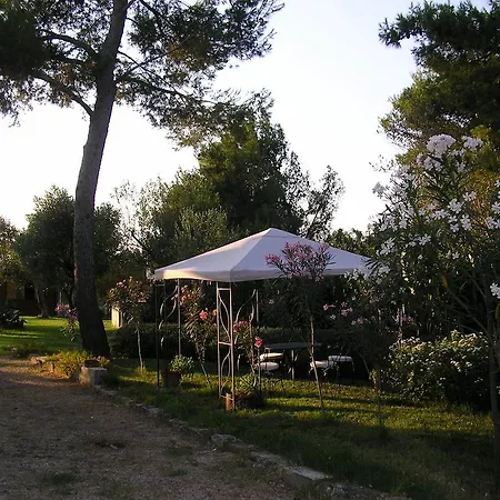 Leziedipiero
